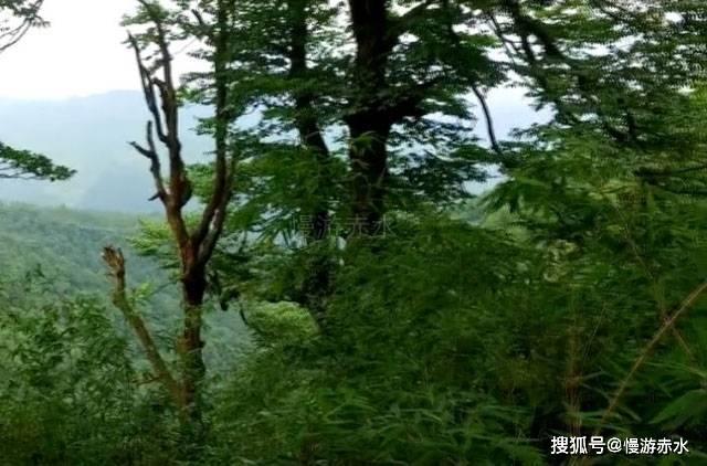 青岛流亭机场“告别演出”感人至深，为何这所机场会“谢幕”？